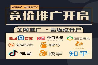 百度广告投放策略：成功案例解析